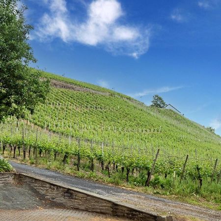 Charming Holiday Home In Neumagen Dhron Luaran gambar